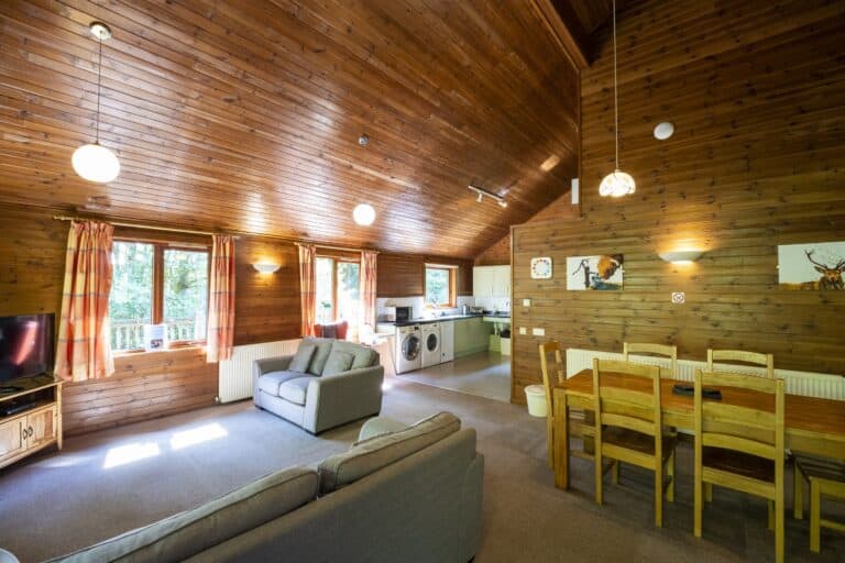 Living/Dining Area