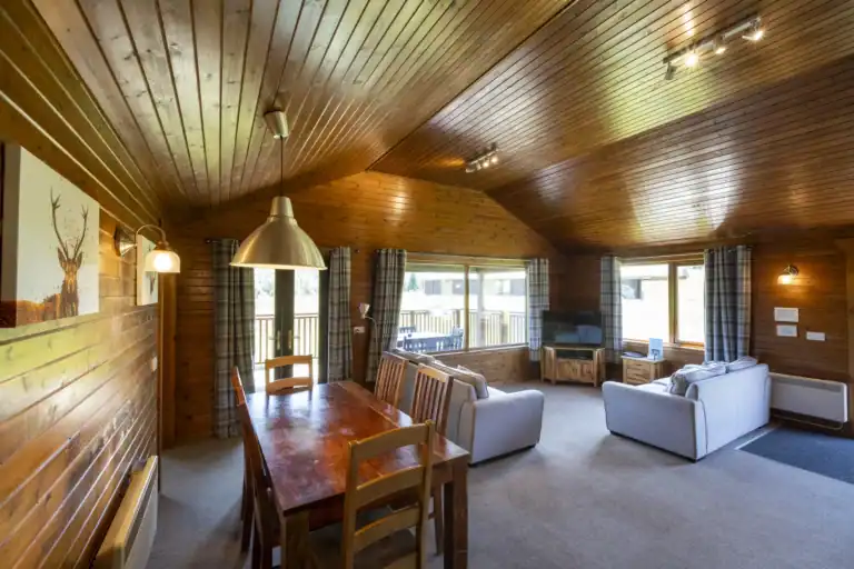 Living/Dining Area