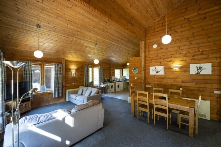 Living/Dining Area